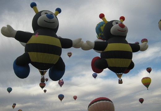 Albuquerque Bees